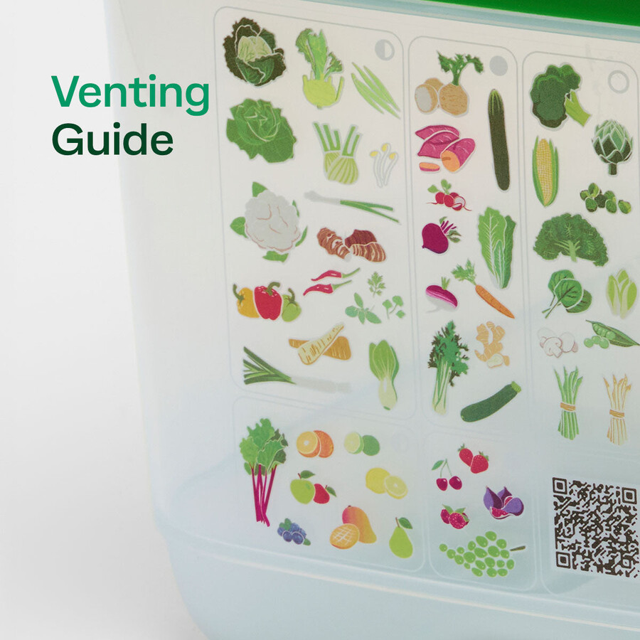 fridgesmart medium container wintergroen