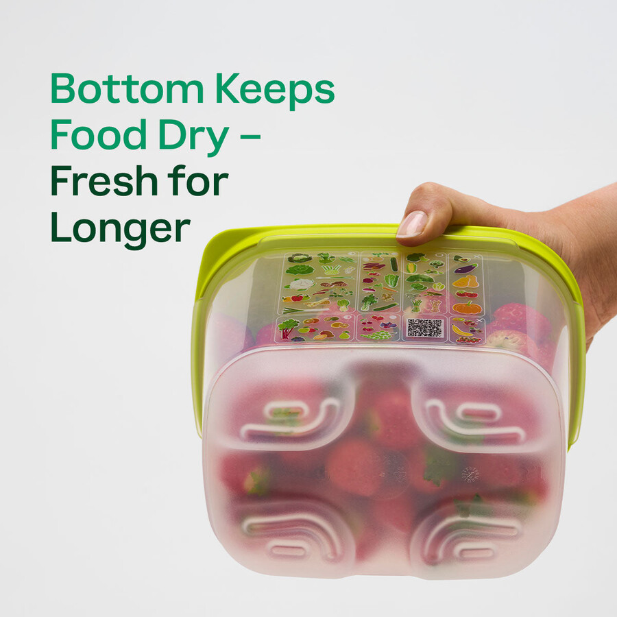 fridgesmart medium container wintergroen