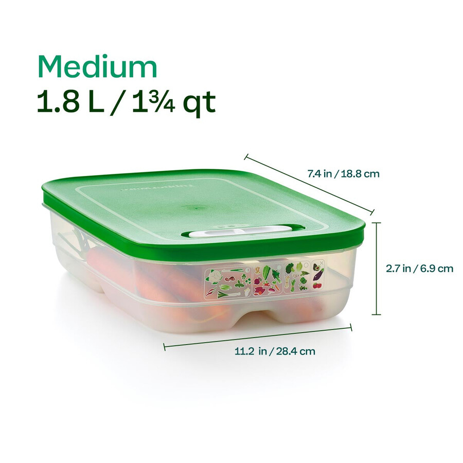 fridgesmart medium container wintergroen