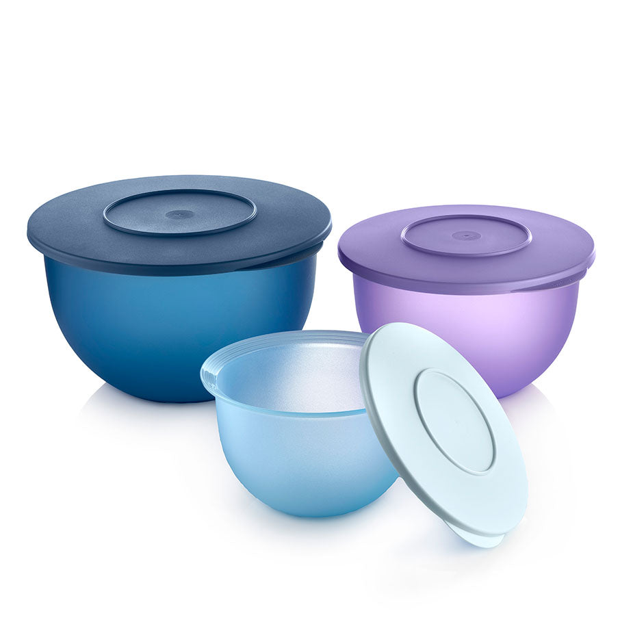 tupperware impressions classic kommenset sorbet dragonfly icelandic mist