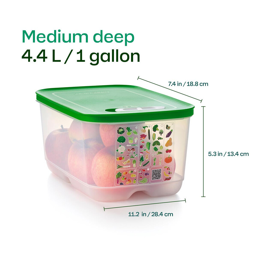 fridgesmart middeldiep wintergroen