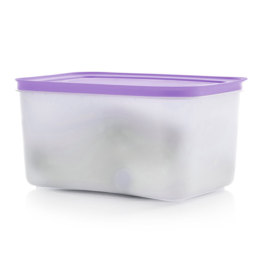 tupperware freezer mates plus medium diep voedselbewaarcontainer sorbetdeksel
