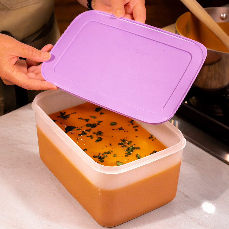 tupperware freezer mates plus medium diep voedselbewaarcontainer sorbetdeksel