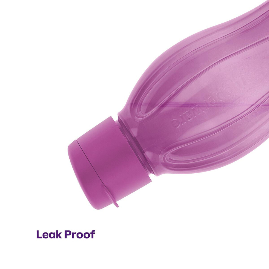 eco fles groot paars