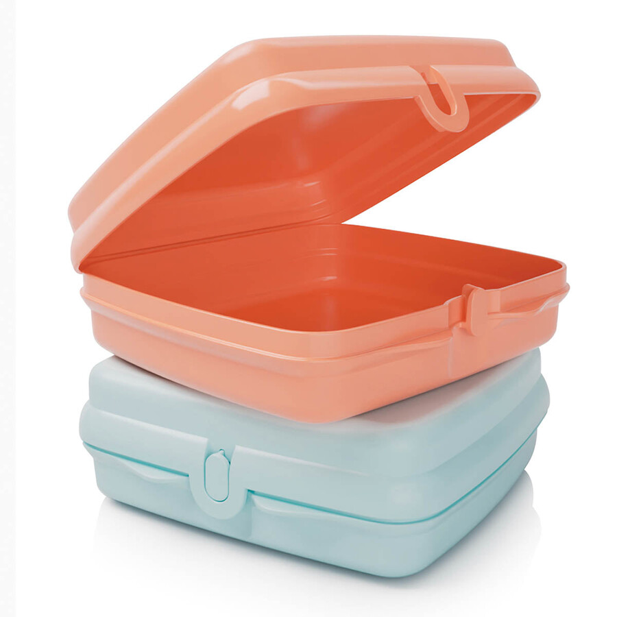 tupperware sandwich keepers - 2 gemakkelijk te openen lunchboxen voor kinderen