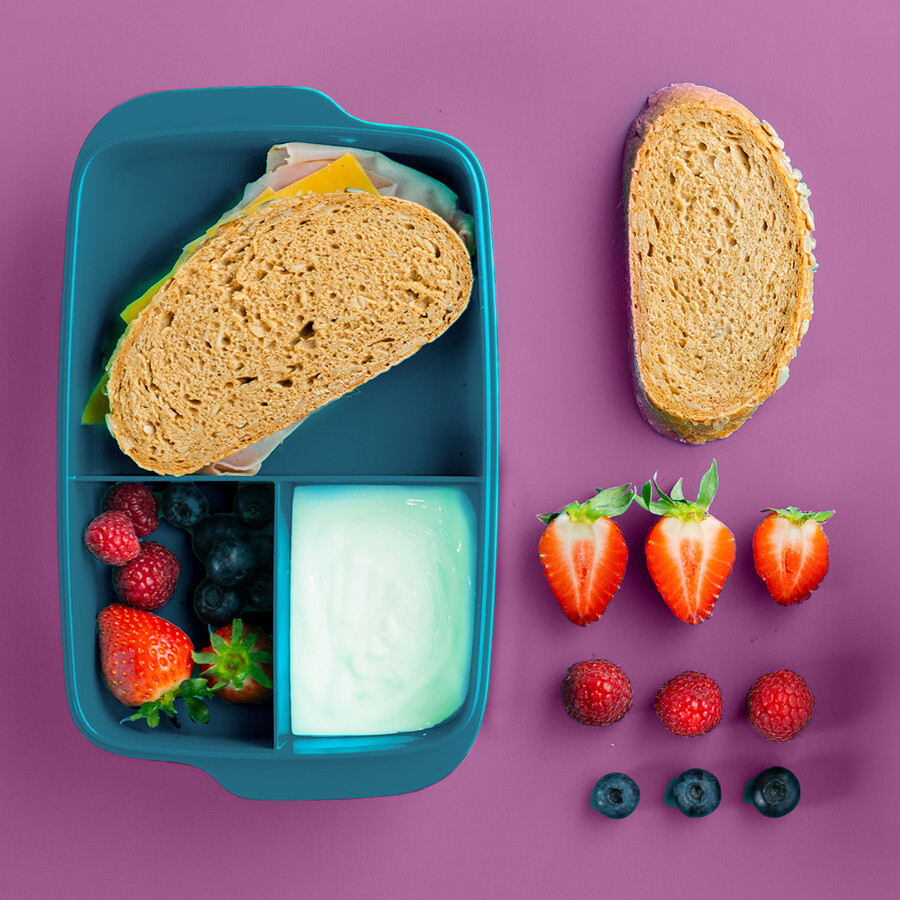 lunch-it grote container pauw