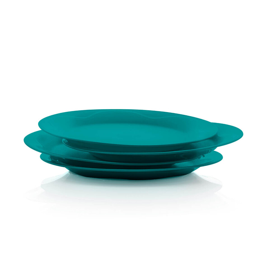 tupperware feestborden met hulstmotief herbruikbare borden voor feestjes